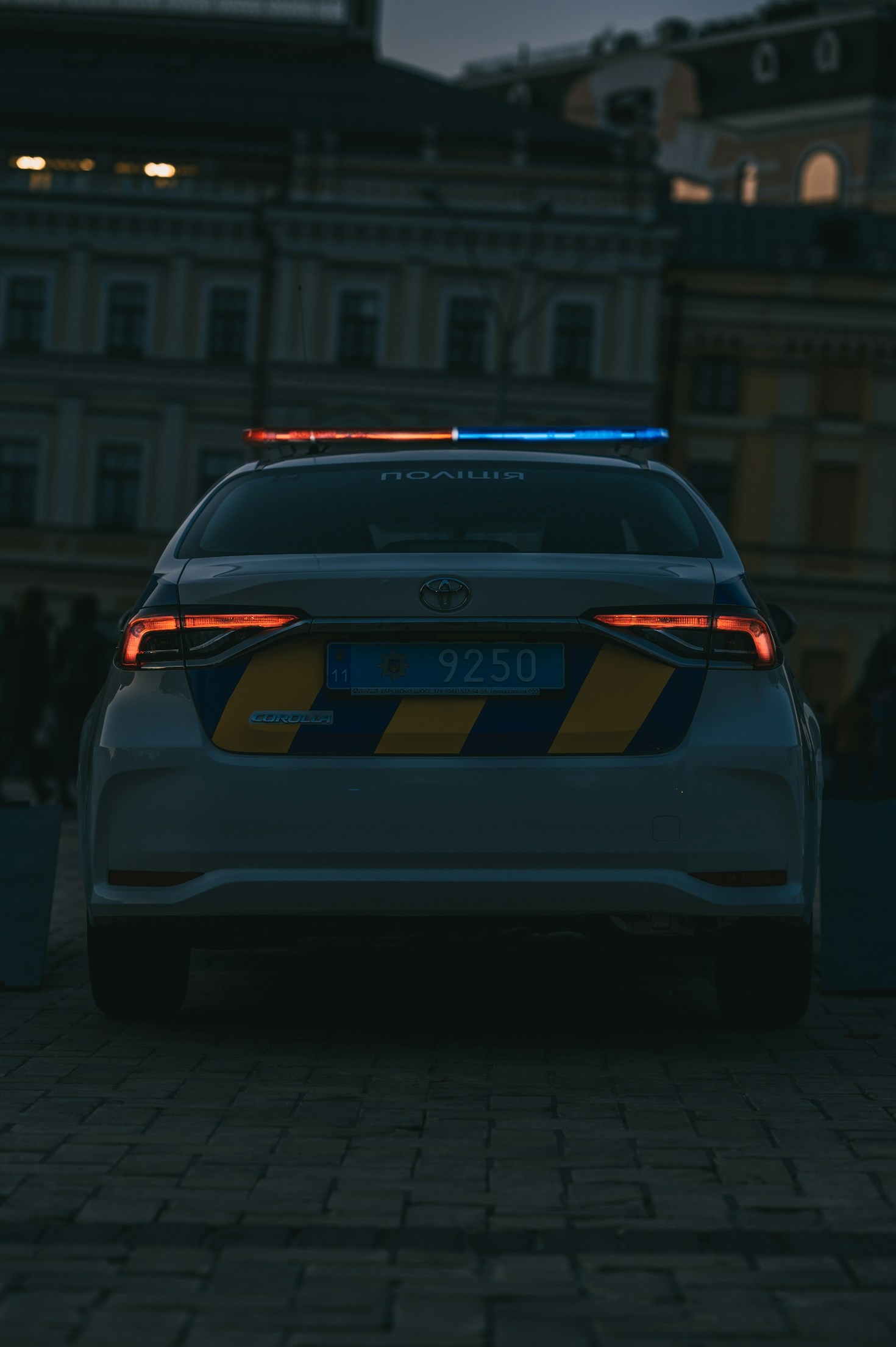 The Role of Statistics in Crime Analysis